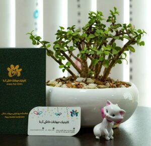 کلینیک دامپزشکی آرنا